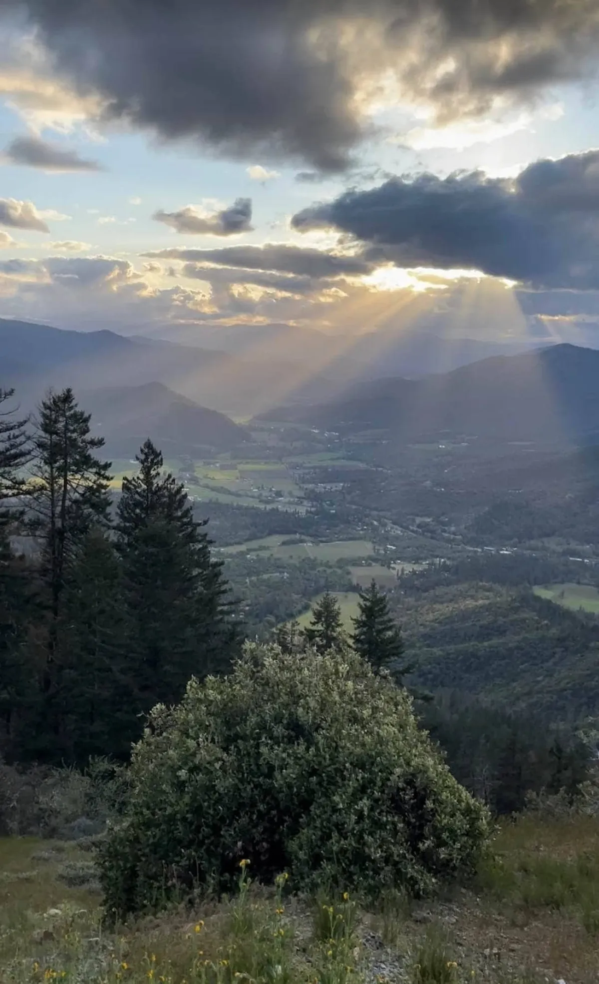 A breathtaking valley view with a mountain range in the distance, sun rays filtering through the clouds, and a lush landscape of trees and bushes below. The expansive scene evokes a sense of tranquility and the awe-inspiring beauty of Applegate Valley, ideal for romantic walks, photography, and reflection.
